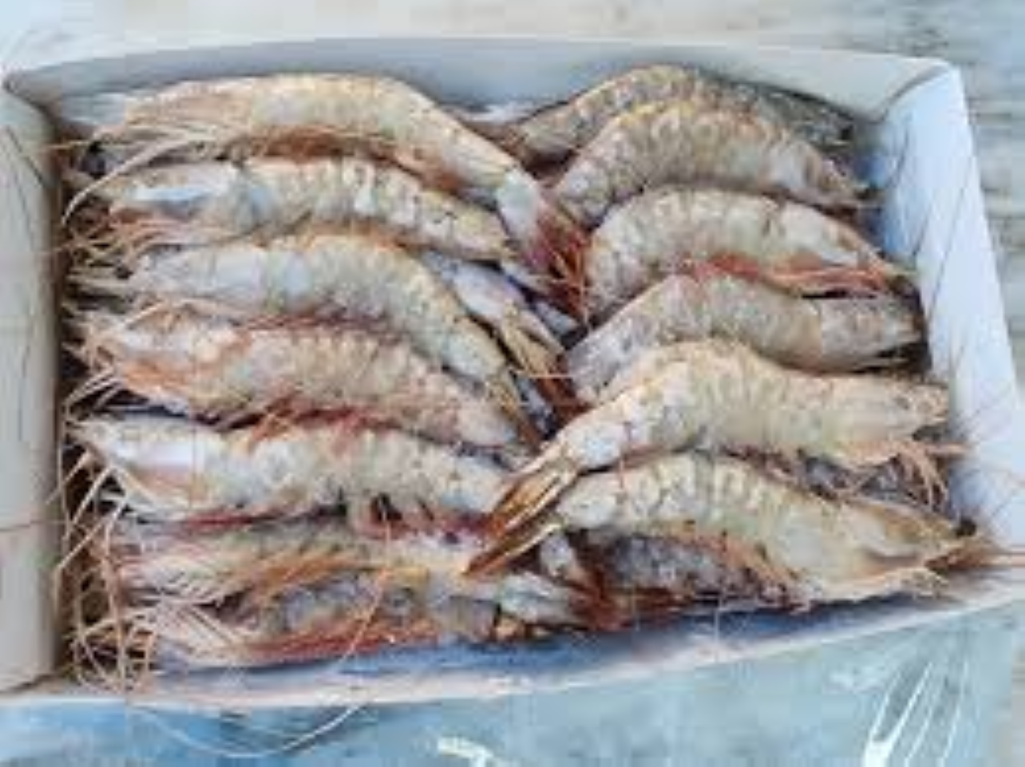 MBL QUEEN PRAWNS